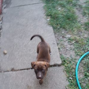 Meet your Posher, Jackson